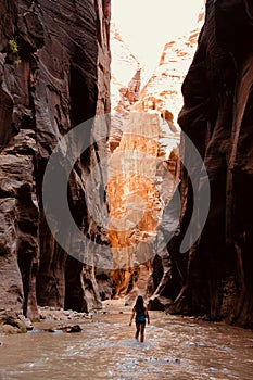 The Narrows hike at Zion National Park in Utah USA