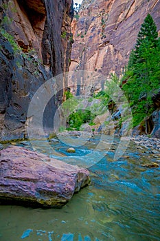 The Narrows and Virgin River in Zion National Park located in the Southwestern of United States, near Springdale, Utah