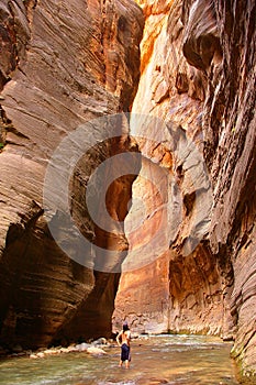 The Narrows of Zion photo