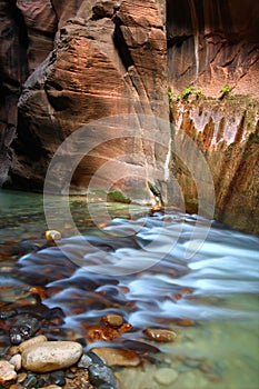 Narrows of Zion National Park photo