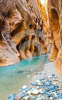 The Narrows, Zion National Park