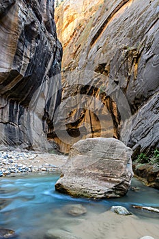 The narrows, Zion National park