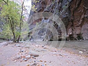 The Narrows, Zion National Park, Utah