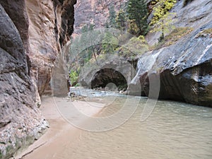 The Narrows, Zion National Park, Utah