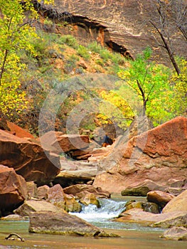 The Narrows, Zion National Park, Utah