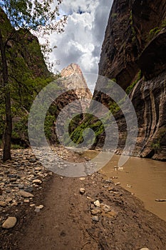 The Narrows, Zion National Park, Utah