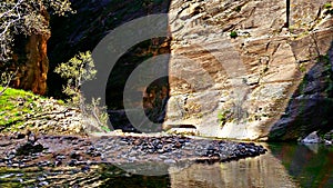 The Narrows at Zion photo