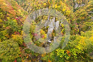 Naruko canyon with autumn foliage