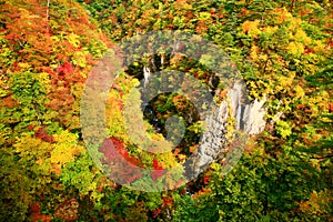 Naruko Gorge Valley with colorful autumn leaves