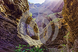 Narural Arch in Rocky Mountains