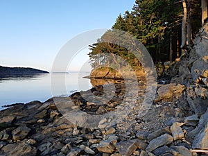 Narvaez Bay on Saturna island