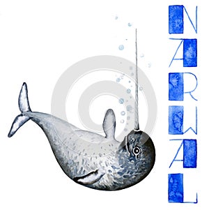 Narwal, watercolor illustration, names of animals, pictures for alphabet