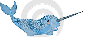 Narwhal photo