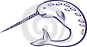 Narwhal Monodon monoceros unicorn whale