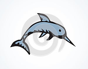 Narwhal. Vector drawing
