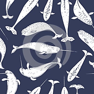 Narwhal . Vector pattern