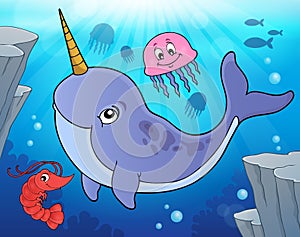 Narwhale theme image 2