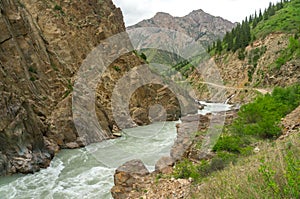 The Naryn river