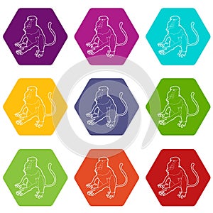 Nasalis monkey icons set 9 vector