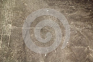 Nasca lines, Peru