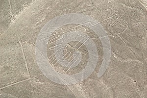 Nasca lines, Peru