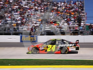 NASCAR - Gordon & Race Fans