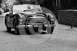 NASH HEALEY SPORTS 3850 cc 1950