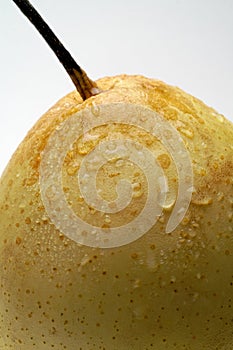 Nashi (chinese) pear closeup