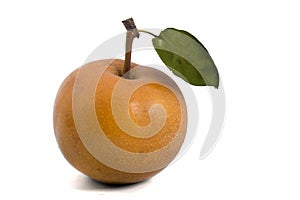 Nashi pear