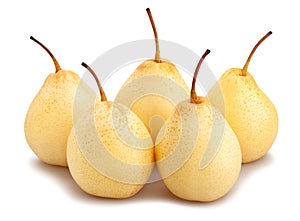 Nashi pear