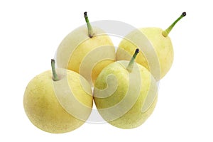 Nashi Pears