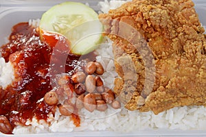 Nasi lemak