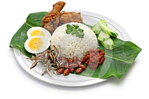 Nasi lemak, coconut milk rice, malaysian cuisine