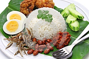 Nasi lemak, coconut milk rice, malaysian cuisine photo