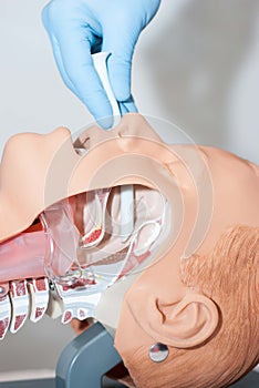 Naso-pharyngeal tube used to open the airway used to open the airway photo