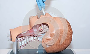 Naso-pharyngeal tube used to open the airway used to open the airway photo