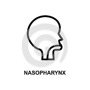 nasopharynx simple line icon photo