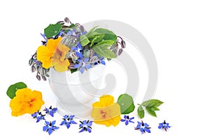 Nasturtium and Borage Herbal Plant Remedy for Colds and Flu