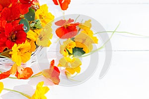 Nasturtium flower blossoms in white basket on white wooden background, edible nasturtium flowers