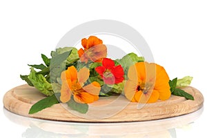 Nasturtium Flower and Herb Salad