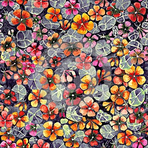 Nasturtium flowers with leaves on dark background. Seamless vintage pattern. Watercolor painting. Hand drawn illustration.