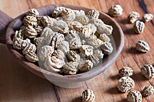 Nasturtium Tropaeolum majus seeds on a wooden spoon