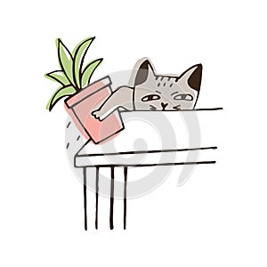 Nasty cat throwing potted plant off table. Amusing naughty kitty dropping houseplant isolated on white background photo