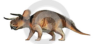 Nasutoceratops