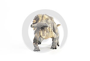 Nasutoceratops Dinosaur on white background