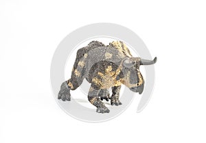 Nasutoceratops Dinosaur on white background