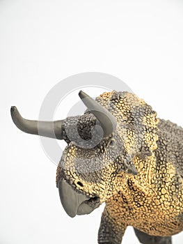 Nasutoceratops Dinosaur on white background