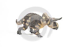 Nasutoceratops Dinosaur on white background