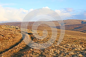 Nateby Common in the Yorkshire Dales, England