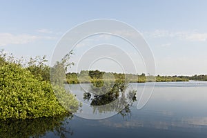 Nationaal Park De Groote Peel, National Park Groote Peel